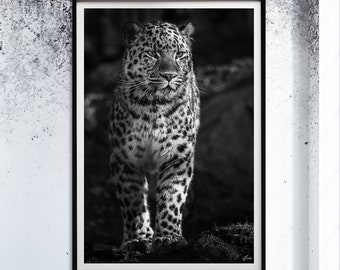 Leopard Art Print Animal Lover Gift Unique Fine Art Photography Dark Leopard Painting Unframed Art Home & Living Panther Wall Art