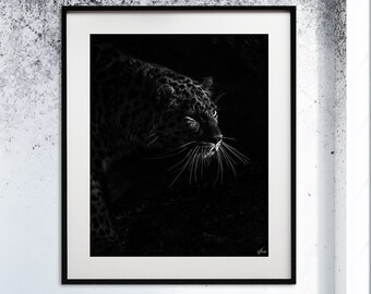 Leopard Fine Art Photograph – Minimalist Animal Print, Modern Decor