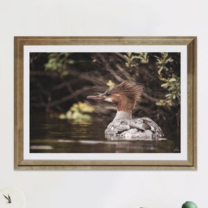 Duck Photography Print - Wildlife Gift - Summer Home Décor - Loon Painting - Wild Animal Unframed Digital Print - Modern Large Wall Art