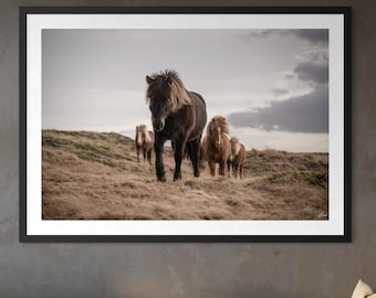 Stampa fotografica artistica di cavalli islandesi / Arte murale della natura nordica