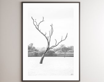 African Tree Digital Print - Unique Fine Art Photography - Landscape - Tree Art - Decoration - Black White - Nature - Wall Art - Minimalist