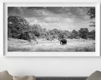 African Elephant Fine Art Photography Print, Wildlife Wall Art