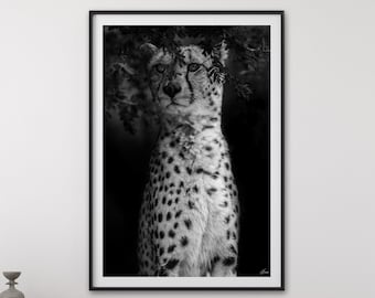 Cheetah Photo Print, Wildlife Jungle Photography, Fine Art Print, African Animal Photography, Cheetah Leopard Tiger Photo, Black And White