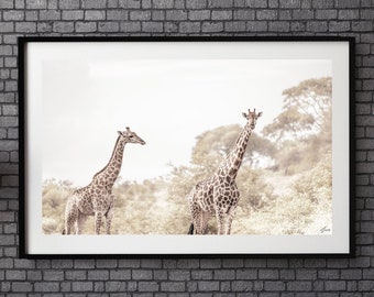 Africa Photography Fine Art Print - Giraffe Wall Art Gift Wildlife Photograph - Living Room Home Décor - Boho Wall Art - Travel Wall Hanging