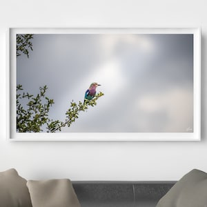 Kleiner Vogel Kunstdruck, Sommer, Fine Art Fotografie, Vogel Wandkunst, Farbfotografie, Wohnzimmer Wanddeko, Vogel Foto Poster, Vogel Bild
