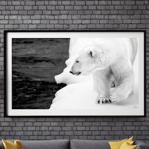 Polar Bear Unique Fine Art Photography - Wildlife Digital Print - Arctic - Grizzly - Wall Décor - Animal Wall Hangings - White Home Décor