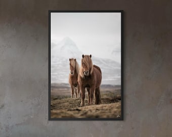 May include: A framed print featuring two brown horses standing in a field with a mountain range in the background. The horses have light brown manes and tails. The print is displayed in a modern living room with a white sectional sofa and a square coffee table.
