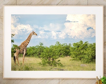 Giraffe Fine Art Photography - Africa Wildlife Prints - Wild Animal Wall Art - Giraffe Painting - Giraffe Drawing - Art Print Ready to frame