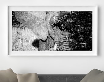 Unique Fine Art Photography - Elephant - Wildlife - Animal - Africa - Mural Art -Decoration - Wall Art - Ultra High Quality - Ready to frame