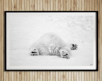 Polar Bear Fine Art Print: Wildlife Photography, Minimalist Animal Wall Art