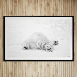 Polar Bear Prints | Wildlife Photography | Animal Wall Art | Minimalist Picture | Boho Living Room | Cute Gifts for Baby | Minimalist Print