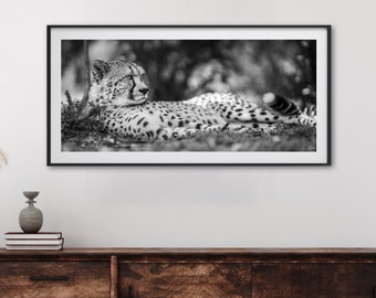 Cheetah Photo Print, Africa Wildlife Photography, Modern Living Room Wall Art, Minimalist Fine Art Photography, Above Monochrome Wall Decor