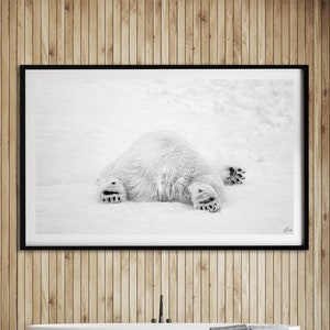 May include: A black and white photograph of a polar bear lying on its back in the snow. The photograph is framed in a black frame and hanging on a wooden wall in a bathroom.