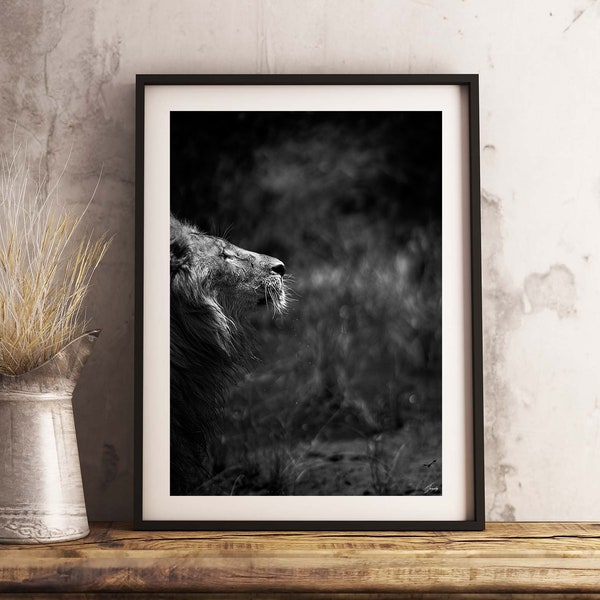 African Lion Print, Unique Fine Art Photography, Large Wall Hanging, Black And White Wall Art, Africa Wildlife Photograph, Animal Poster