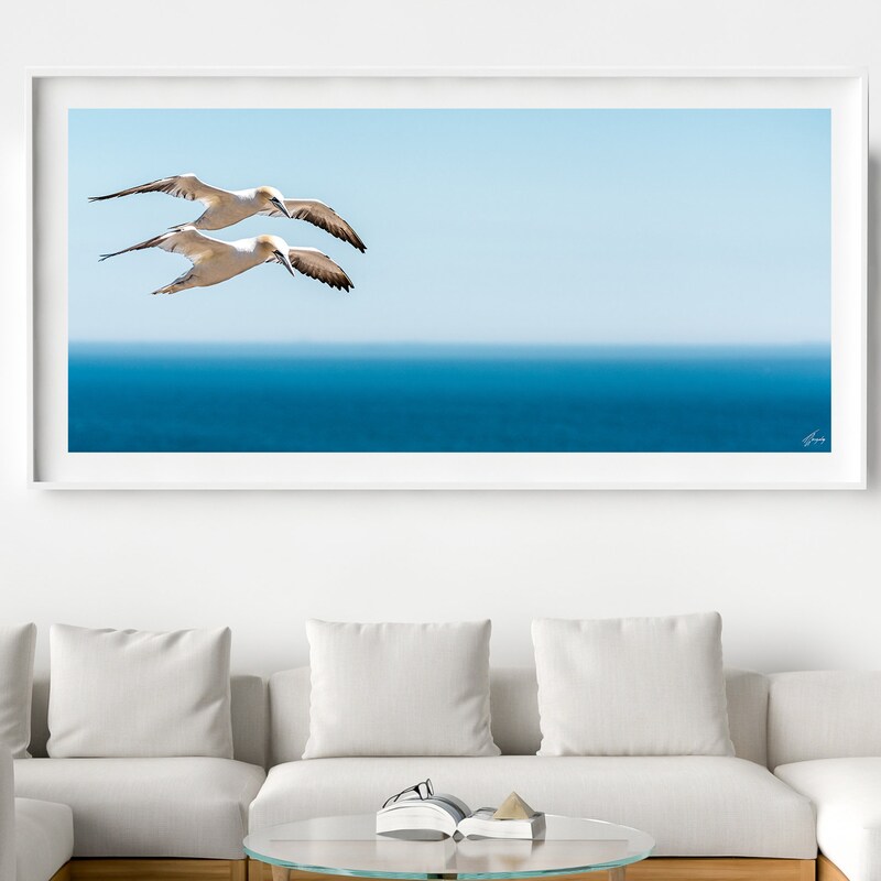 Sea Bird Print - Etsy