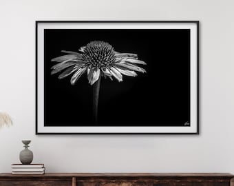 花のマクロ写真、白黒の花のアートプリント