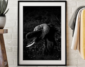 Unique Fine Art Photography - Ultra High Quality - Elephant - Animal - Wildlife -Africa - Mural Art - Decoration - Wall Art - Ready to frame