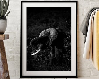 Elephant Photography Print - Limited Edition Fine Art, Wildlife Conservation