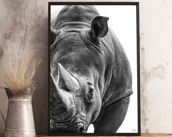 Rhinoceros Photography Print, Wall Art Print, Rhino Photo Print, African Animal Wall Art, Centerpiece Wall Decor, Tgonzalezfineart