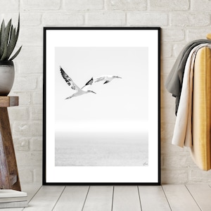 Arte murale di uccelli, fotografia artistica unica, stampa fotografica nautica, poster di uccelli costieri, arte murale, decorazione murale minimalista, arte murale estiva