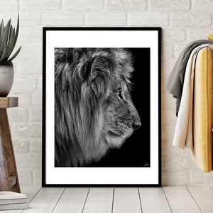 May include: Black and white photograph of a lion's head in profile against a black background. The lion has a thick mane and is looking to the right.