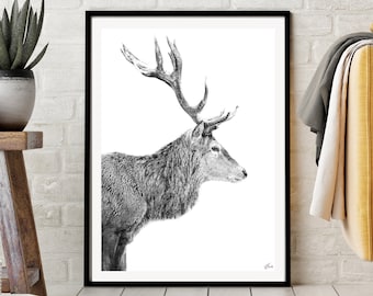 Elk Poster Print, Black and White Stag Photography, Minimalist Wildlife Art