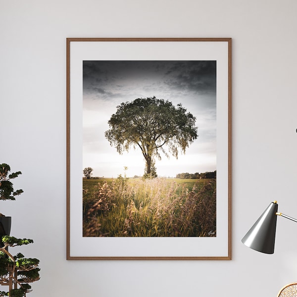 Fine Art Photography Etsy