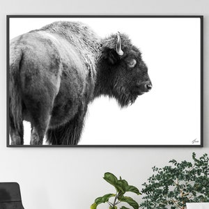 Cyfrowy wydruk fotografii artystycznej bizona - Ultra wysoka jakość - sztuka bizona - sztuka ścienna z dzikimi zwierzętami - plakat ze zwierzętami - sztuka ścienna - prezent dla mężczyzny