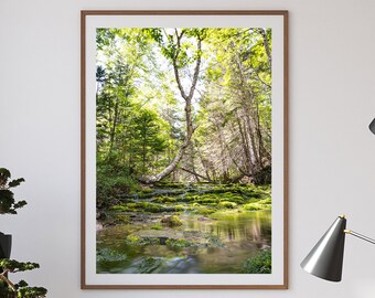 Impressão fotográfica de floresta | Decoração de parede com tema verde | Arte de parede de primavera | Pronta para emoldurar