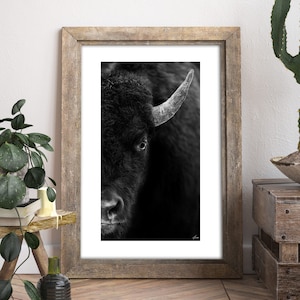 Sztuka ścienna Bull - Fotografia artystyczna - Wydruk artystyczny do pokoju dziecięcego - Cyfrowy wydruk Bison Buffalo - Dzikie zwierzęta - Prezent dla zwierząt - Dekoracje ścienne do salonu