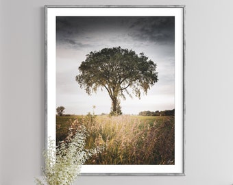 Tree Photography Print, Nature Wall Art, Lone Tree Photo, Sunset Tree Print, Accent Wall Art, Large Unframed Wall Art, Living Room Decor