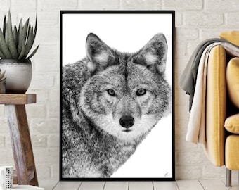 Wolf Photography Print, Ultra High Quality Wall Print, Wolf Wall Art, Wildlife Poster, Lone Wolf Wall Print, Unframed Wall Art, Wolf Poster