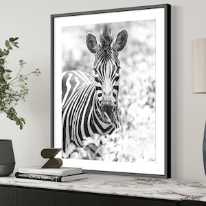 Zebra Photography Print, Black And White Poster, Wildlife Fine Art Photography, African Animal Print, Office Wall Art, Wild Animal Decor