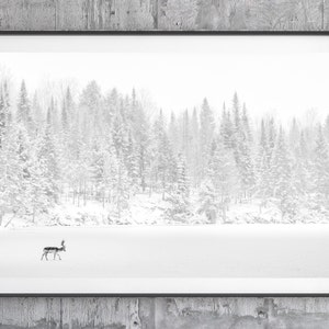 Impressão de fotografia de veado, arte de parede de alce, decoração minimalista de inverno, fotografia de rena, arte de parede de vida selvagem, arte de pinheiro, arte em preto e branco
