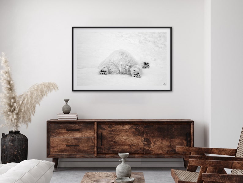May include: Black and white photograph of a polar bear lying on its back in the snow. The bear's paws are outstretched and its head is turned to the side.