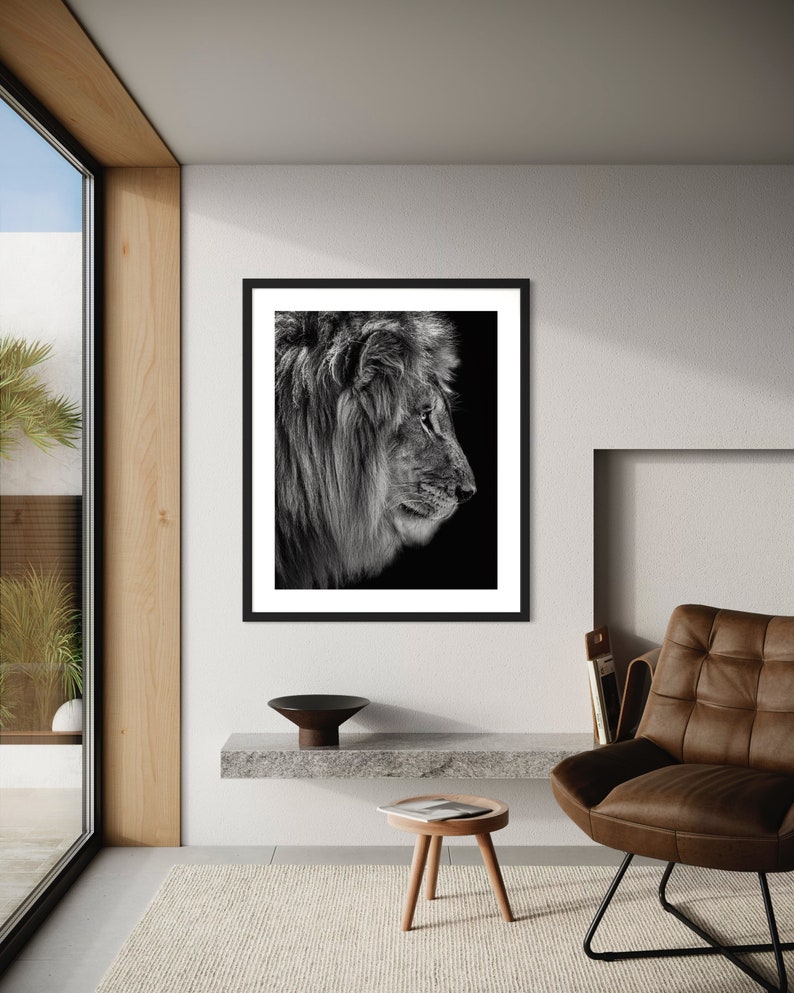 May include: Black and white photograph of a lion's head in profile, against a dark background.