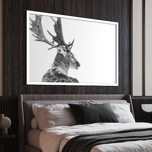 Animal Prints, Unique Photography, Wildlife Wall art, Rustic Home Decor, Modern Bedroom White Decoration, Elk Wall Decor, Minimalist Gifts