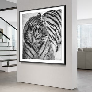 Wild Tiger Fine Art Photography Print, Tiger Wall Art, Wildlife Poster, Black And White Animal Art , Modern Decor, Boho Decor, Rustic Decor image 3