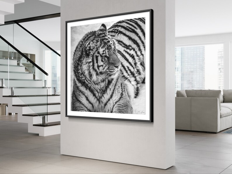 Wild Tiger Fine Art Photography Print, Tiger Wall Art, Wildlife Poster, Black And White Animal Art , Modern Decor, Boho Decor, Rustic Decor image 3