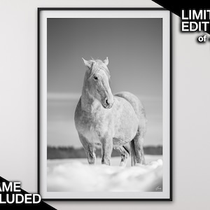 Wildes Pferd Fine Art Photography Prints, Digitaldruck Pferde, Pferde Wandkunst, Reiter Geschenk, Schwarz und Weiß, Minimalistisches Wohndekor