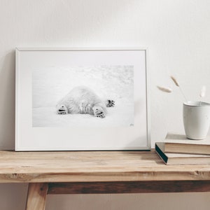 May include: A black and white photograph of a polar bear lying on its back in the snow. The bear's paws are outstretched and its fur is fluffy.