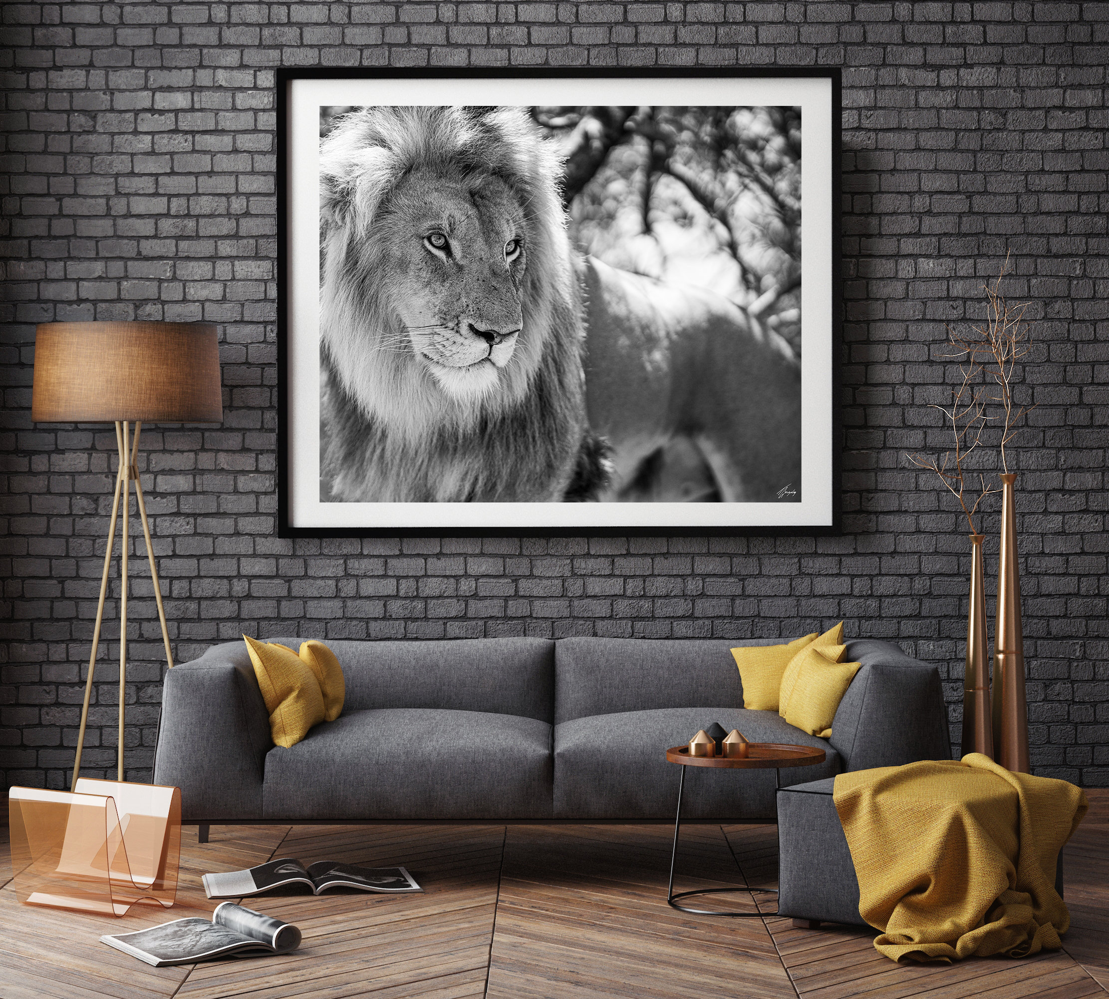 Unique Fine Art Photography High Quality Print Lion - Etsy