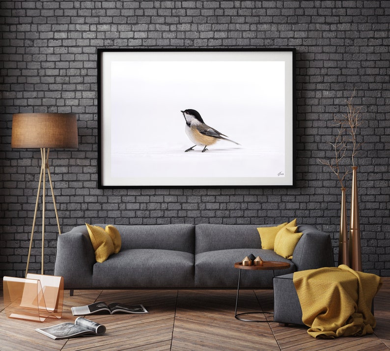 Unique Fine Art Photography Wall Décor Black Capped Etsy