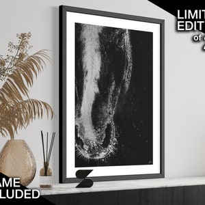 Gifts for Women - Horse Photography Print - Equine Wall Decor - Modern Home Décor - Home & Living - Living Room Decoration - Wall Hangings