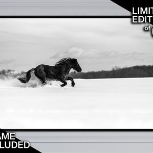 Schwarzes Pferd im Schnee Fotodruck, Fine Art Fotografie, Wildtier-Fotografie, Pferd Poster, Pferdefotografie, Reiter,Statement Wandkunst