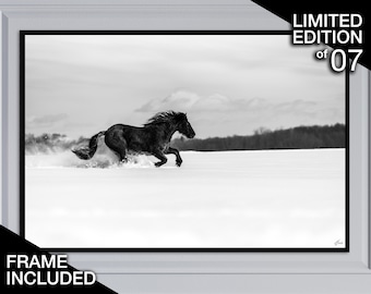 Black Horse In Snow Photo Print, Fine Art Photography, Wildlife Photography, Horse Poster, Equine Photography, Equestrian,Statement Wall Art