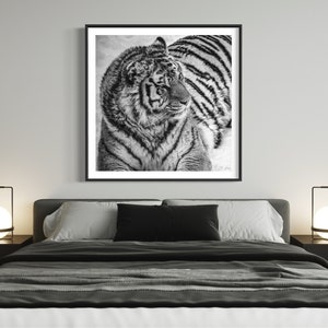 Wild Tiger Fine Art Photography Print, Tiger Wall Art, Wildlife Poster, Black And White Animal Art , Modern Decor, Boho Decor, Rustic Decor image 9