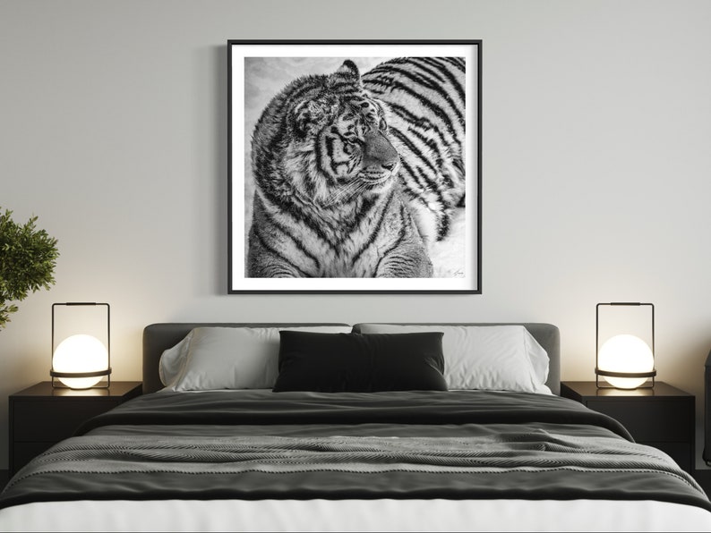 Wild Tiger Fine Art Photography Print, Tiger Wall Art, Wildlife Poster, Black And White Animal Art , Modern Decor, Boho Decor, Rustic Decor image 9