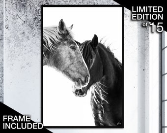 Wild Horses Photography, Horse Wall Art, Fine Art Photography Prints, Black And White Horse Print, Equine Wall Art, Equestrian Photo Poster