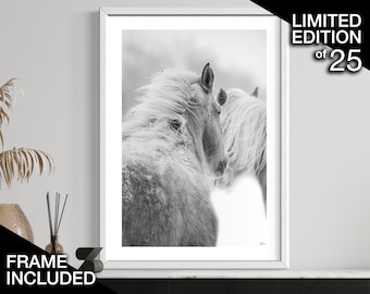 Limited Edition Wildlife Photography Print | Framed Equestrian Wall Art | Horse Gifts
